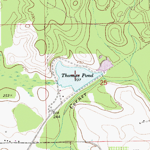 Topographic Map of Thomas Pond, AL