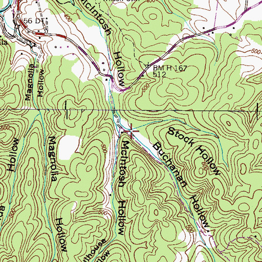 Topographic Map of Buchanan Hollow, TN