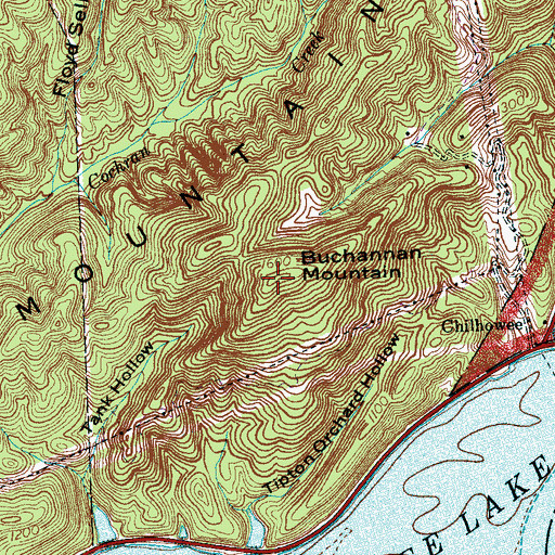 Topographic Map of Buchannan Mountain, TN