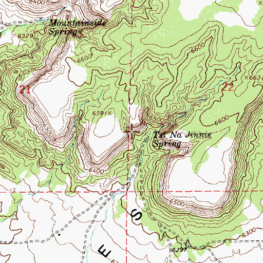 Topographic Map of Tsi Na Jinnie Spring, AZ
