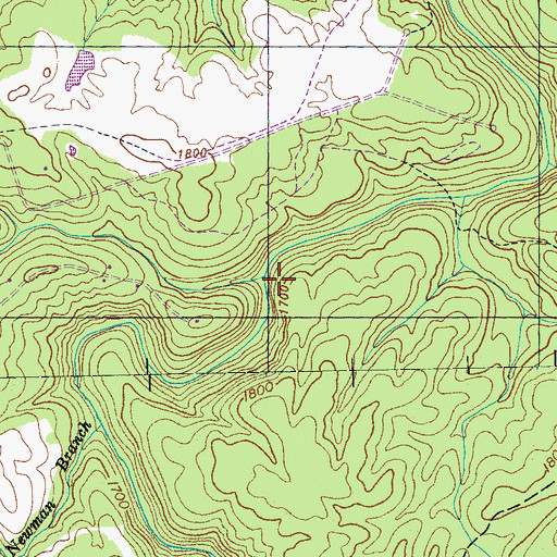 Topographic Map of Buck Creek, TN
