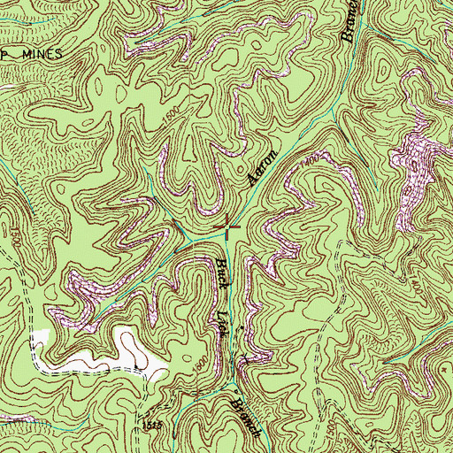Topographic Map of Buck Lick Branch, TN