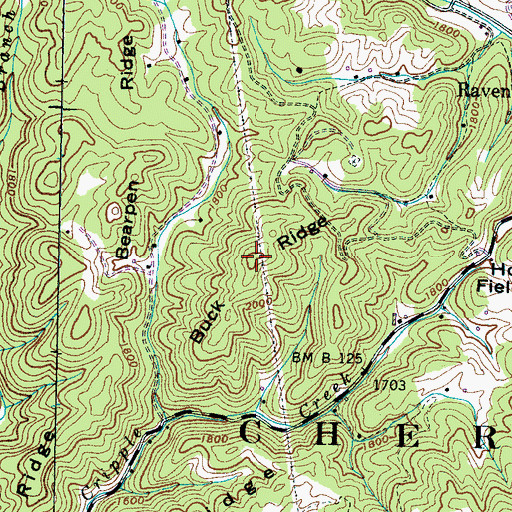 Topographic Map of Buck Ridge, TN