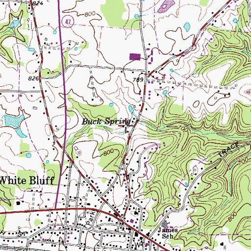 Topographic Map of Buck Spring, TN