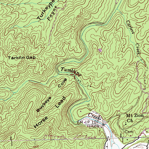 Topographic Map of Buckeye Cove, TN