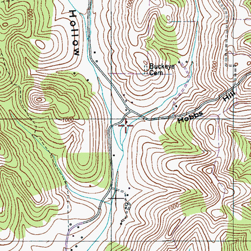 Topographic Map of Buckeye Hollow, TN