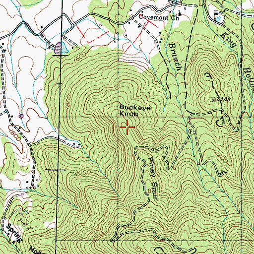 Topographic Map of Buckeye Knob, TN