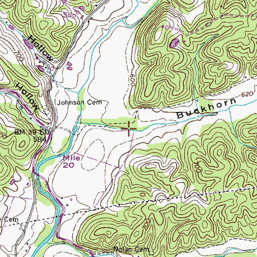 Topographic Map of Buckhorn Hollow, TN