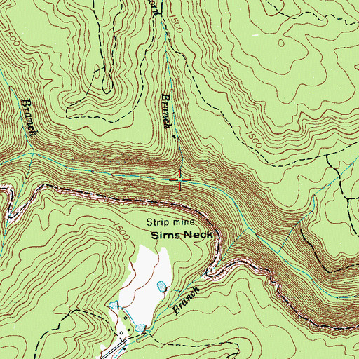 Topographic Map of Buckhort Branch, TN