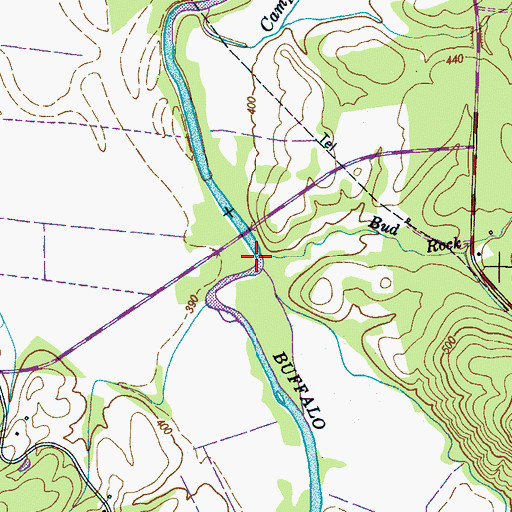Topographic Map of Bud Rock Branch, TN
