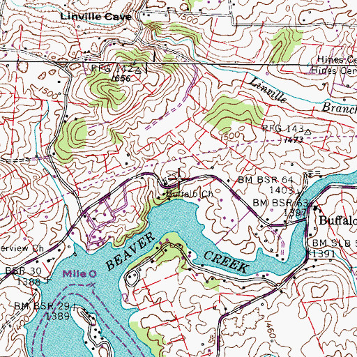 Topographic Map of Buffalo Church, TN