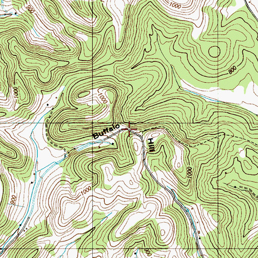 Topographic Map of Buffalo Hill, TN