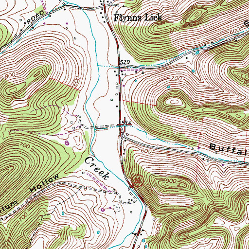 Topographic Map of Buffalo Hollow, TN