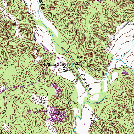 Topographic Map of Buffalo School, TN