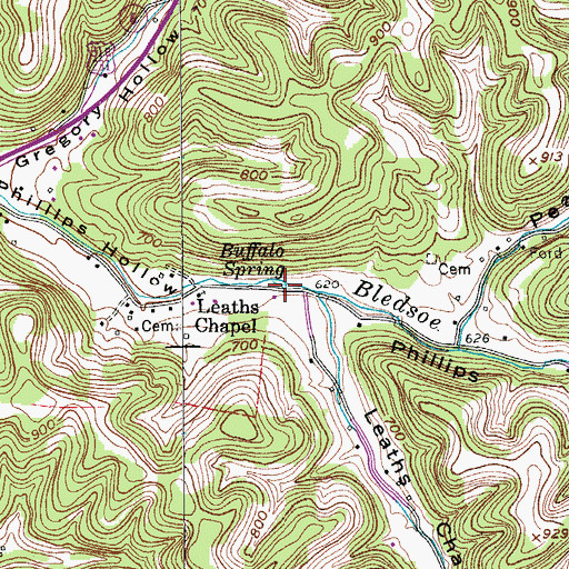 Topographic Map of Buffalo Spring, TN
