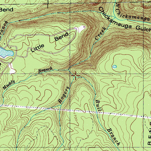 Topographic Map of Bull Branch, TN