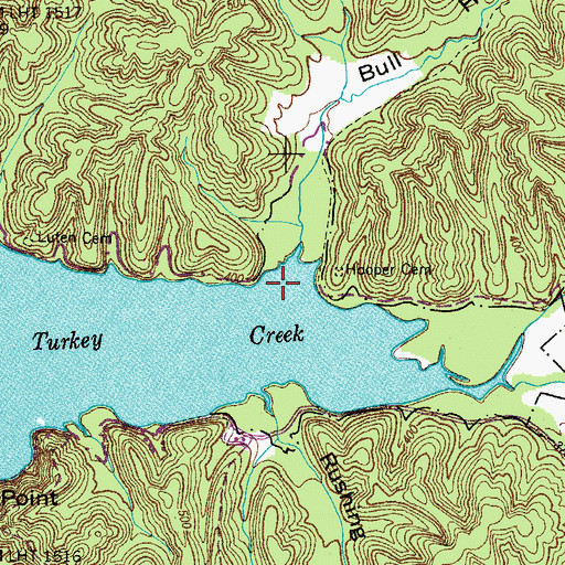 Topographic Map of Bull Hollow, TN
