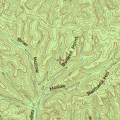 Topographic Map of Bullard Point, TN