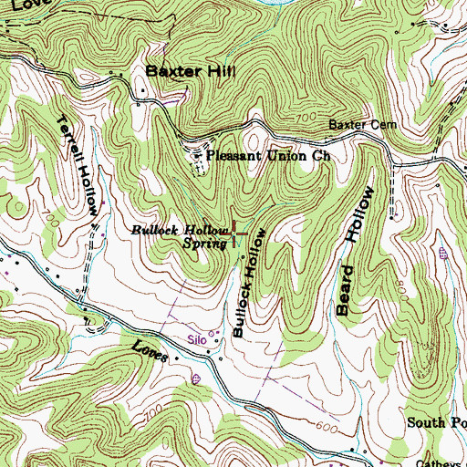Topographic Map of Bullock Hollow Spring, TN