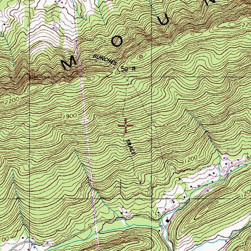 Topographic Map of Bunches Trace, TN