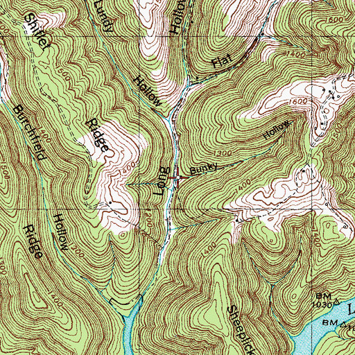 Topographic Map of Bunky Hollow, TN