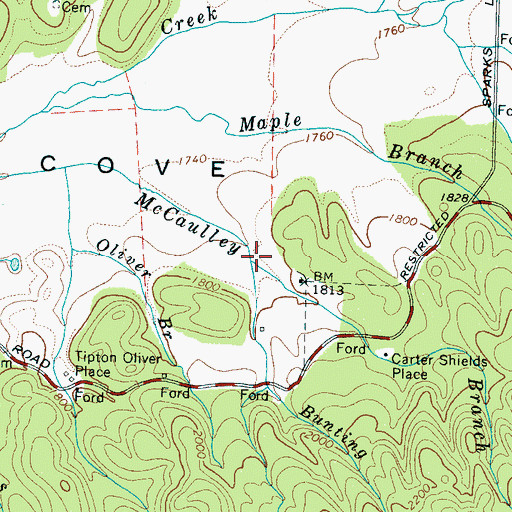 Topographic Map of Bunting Branch, TN