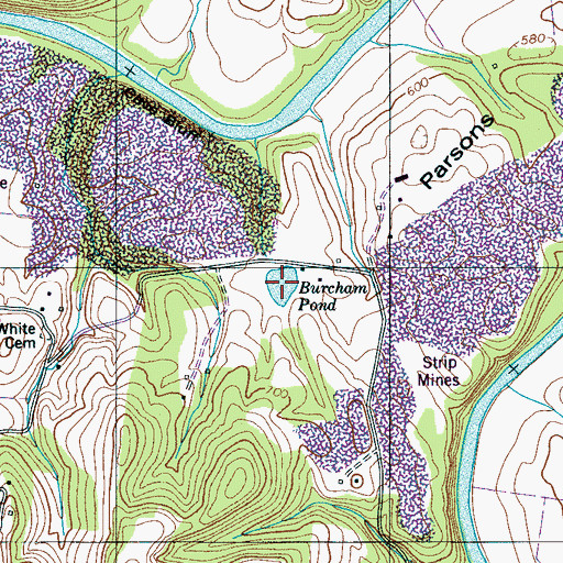 Topographic Map of Burcham Pond, TN