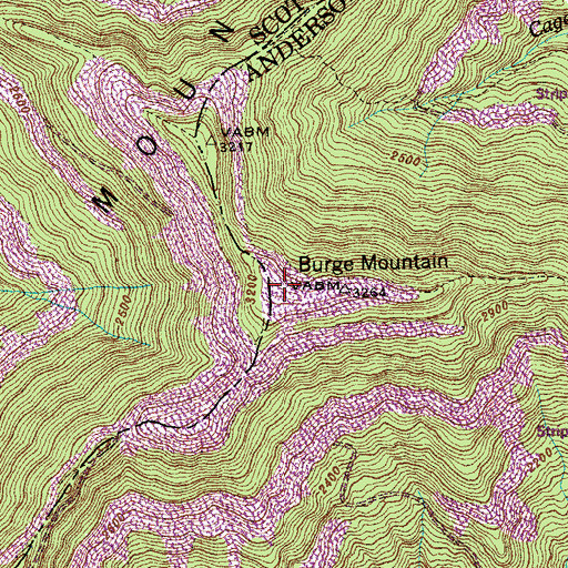 Topographic Map of Burge Mountain, TN