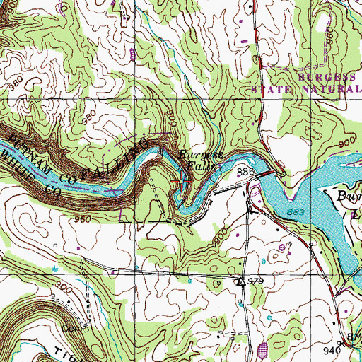 Topographic Map of Burgess Falls, TN