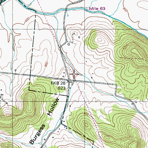 Topographic Map of Burgess Hollow, TN