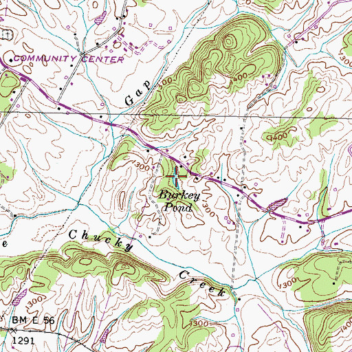 Topographic Map of Burkey Pond, TN