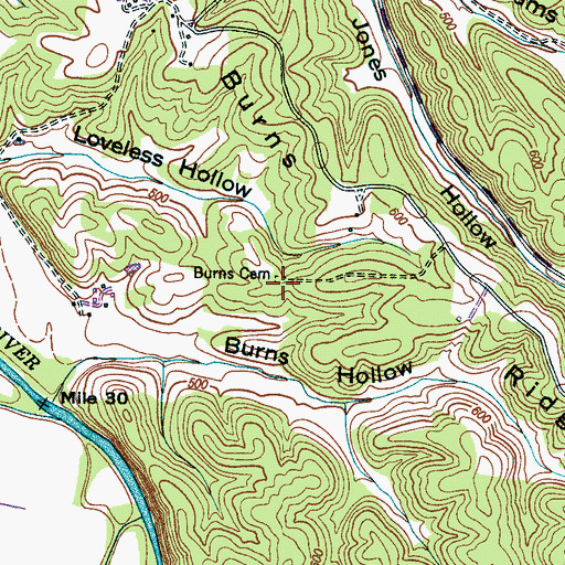 Topographic Map of Burns Cemetery, TN