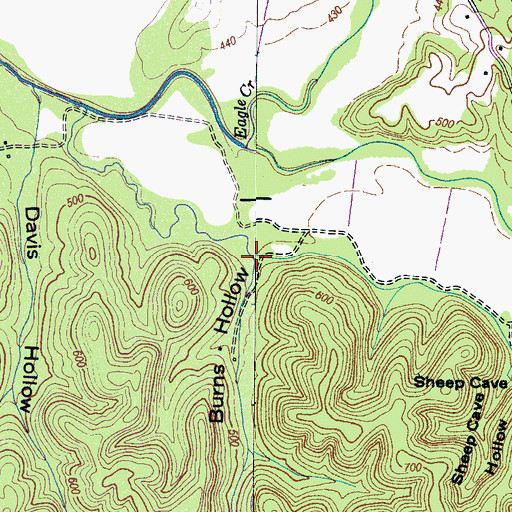 Topographic Map of Burns Hollow, TN
