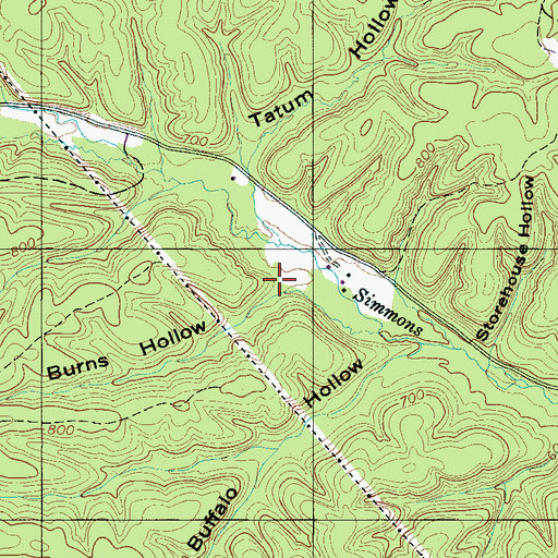 Topographic Map of Burns Hollow, TN