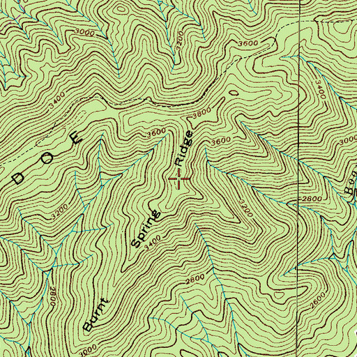 Topographic Map of Burnt Spring Ridge, TN