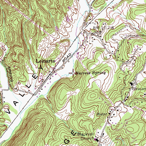 Topographic Map of Burress Spring, TN