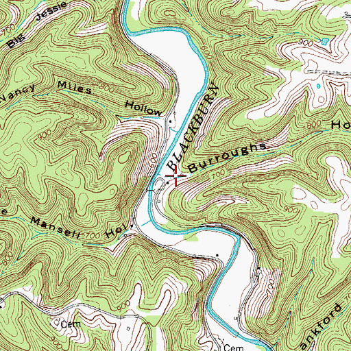 Topographic Map of Burroughs Hollow, TN