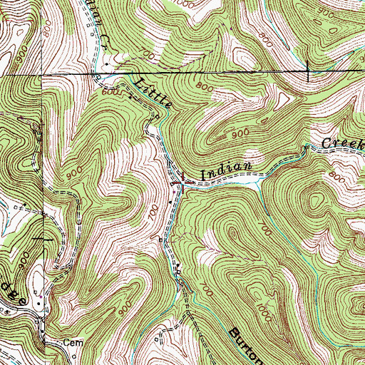 Topographic Map of Burton Hollow, TN