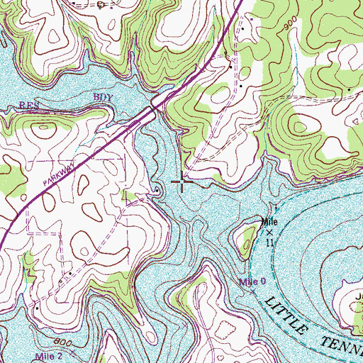 Topographic Map of Burton Mill, TN