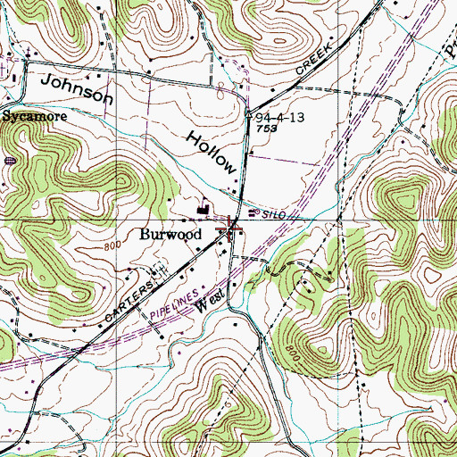 Topographic Map of Burwood, TN