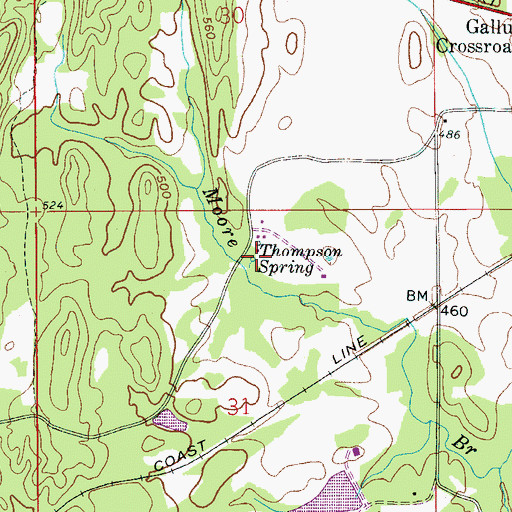 Topographic Map of Thompson Spring, AL