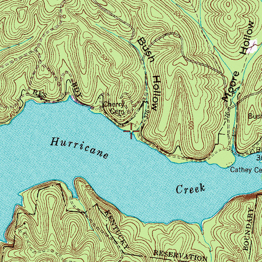 Topographic Map of Bush Hollow, TN