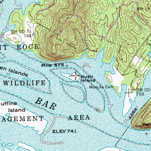 Topographic Map of Bush Island, TN