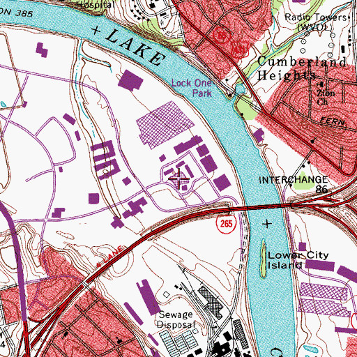 Topographic Map of Bush Lake, TN