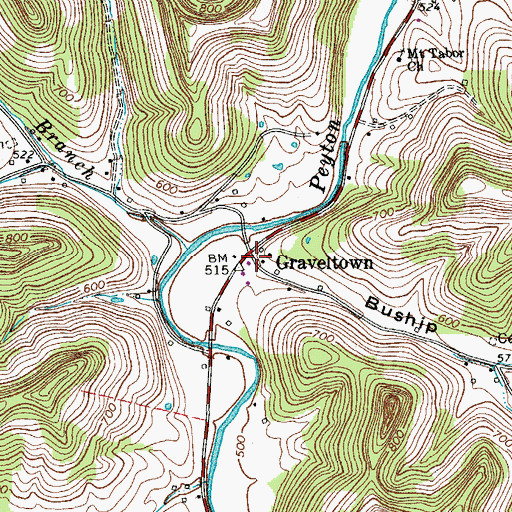 Topographic Map of Buship Hollow, TN