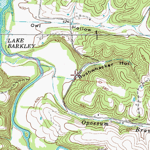Topographic Map of Bushwhacker Hollow, TN