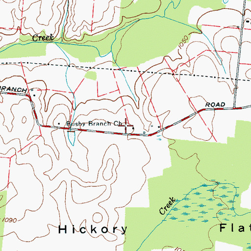 Topographic Map of Bushy Branch Church, TN