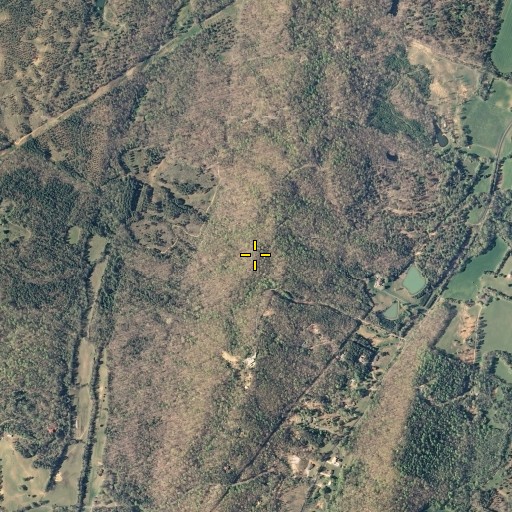 Aerial/Satellite Image of Butler Knobs, TN