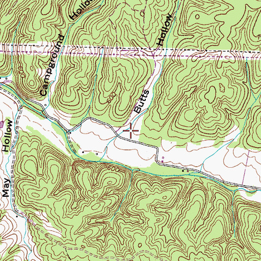 Topographic Map of Butts Hollow, TN