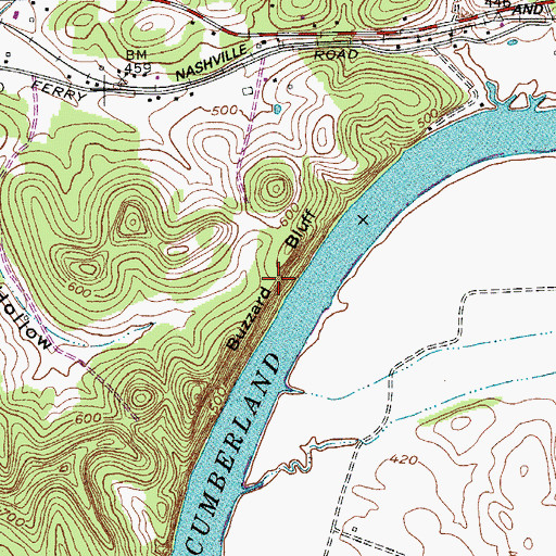 Topographic Map of Buzzard Bluff, TN